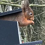 Fig Tree Prázdninový dům Ellonby
